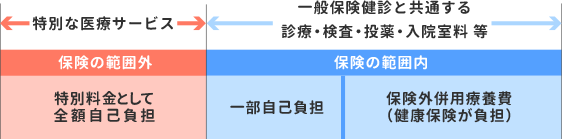 特別料金と保険給付の組み合わせ